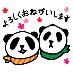Twin panda Pony and Popy