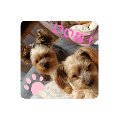 matsu_20210114210141