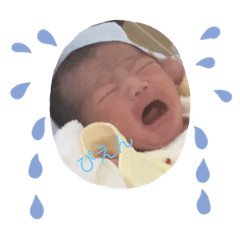 Nanami_20210114213449