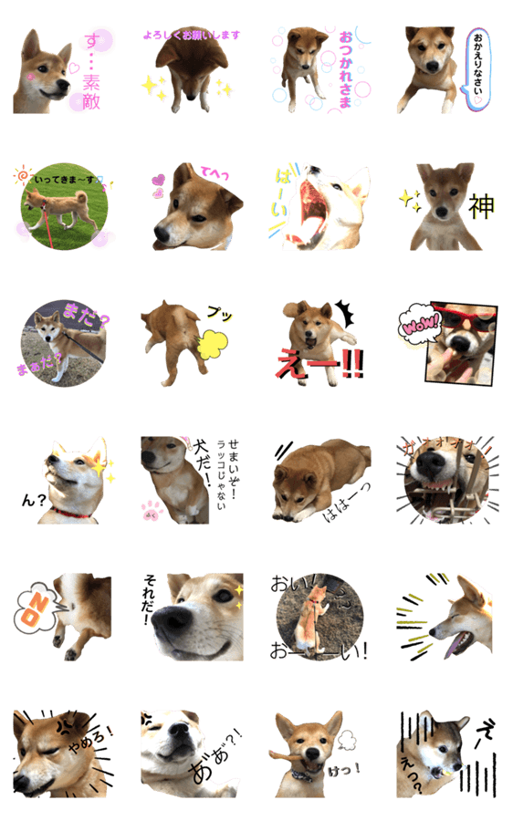 柴犬ふくの日常スタンプ第２弾 Lineクリエイターズスタンプ Stamplist