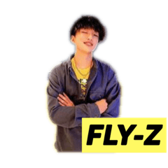 FLY-Z