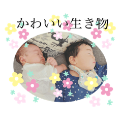 sak_20210115110220