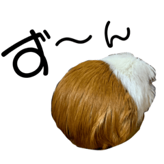 Mizuki_20210115033314