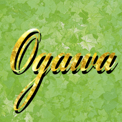 The Ogawa Gold Sticker 777