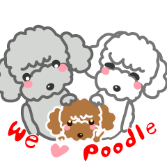 cute! Poodle family