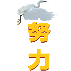 two Chinese characters From Heron-BIG