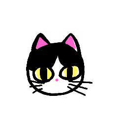 Mo_20210115103516343554589