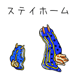 With Nudibranch 2