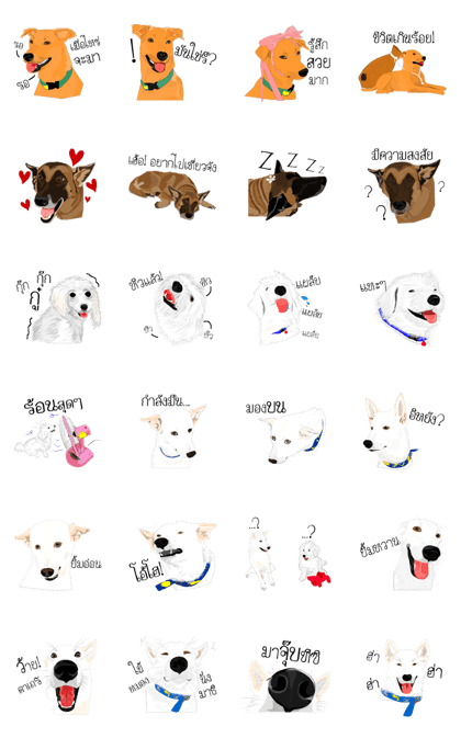 Cool Dog
