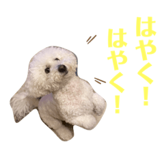 arisa_20210115190115