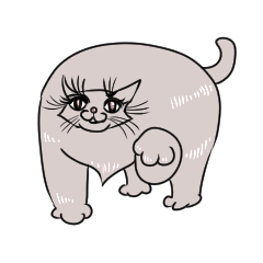 Small Face Cat