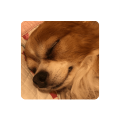 Mo_2021011520575958288