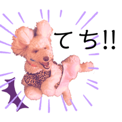 junko_20210115221340