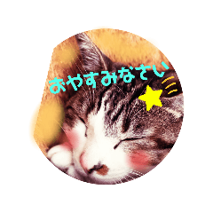 junko_20210115183221