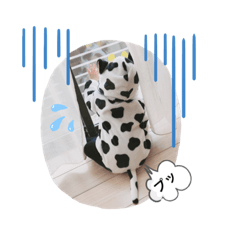 tomomi_20210115213524