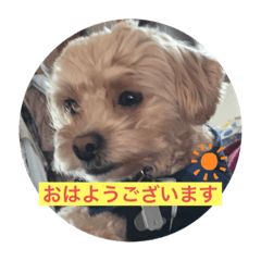 msk_20210115223734