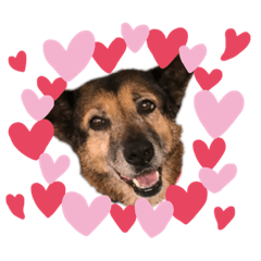 妞妞甜八寶dooog