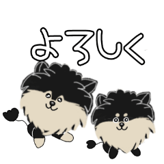 Hatuda's family Pomeranian
