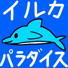 dolphin slow life