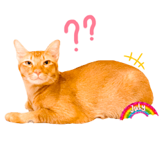 Mmmimi