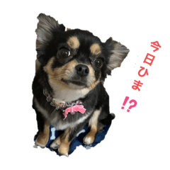 natsumi_20210116073402