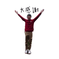 水豚康的荒謬辦公室