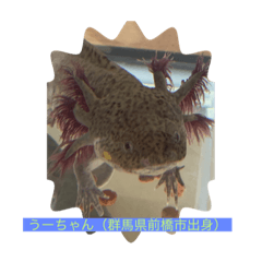 takashi onozuka_20210116090550