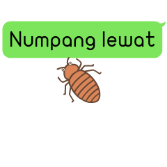 Bed Bug [Fun Pack]