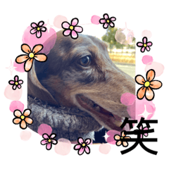 ayumi_20210116142232