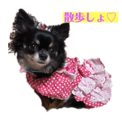 chi_20210116141937