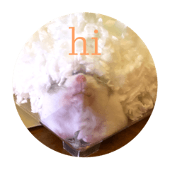 Very Mister Pietui 3