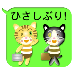 tabby cat & hachiware cat