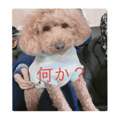 nanami_20210116172714