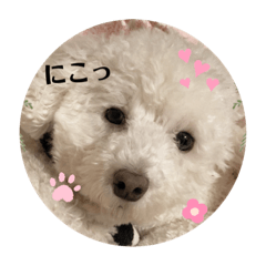 mimi_20210116202222
