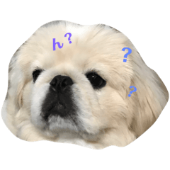 nagisa_20210116202121