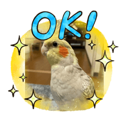 nozomi_20210116205004