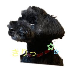 hana_20210116214817