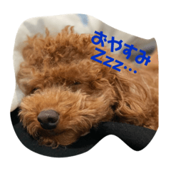 Miki_20210116223222