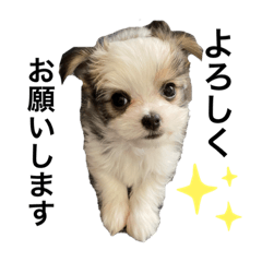 kitty_20210116171218