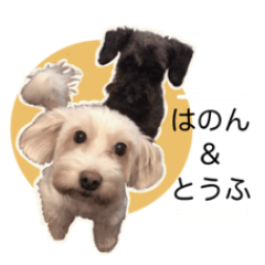 Paws message sticker/ Hanon & Tofu