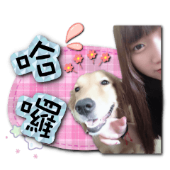 Lin Lin's dog