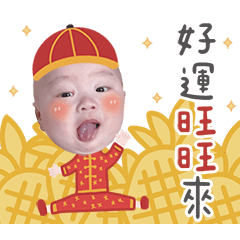 許願池的生活日常