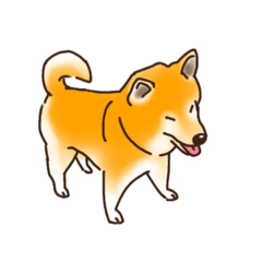 sango_dog_shiba