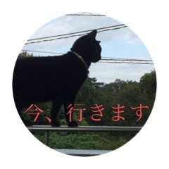 rei_20210116234122