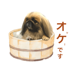 Yuka_20210117130724