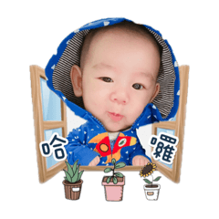 安哥第二彈