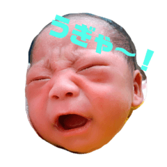 tonton_20210117135908