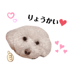 かわいいワンちゃんの癒されるスタンプ