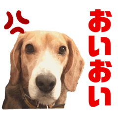 Yuto_20210117143826