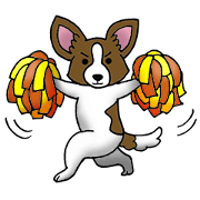 Papillon Haru